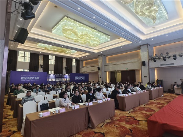 宣城汽配產業帶揚帆出海，跨境電商專場對接賦能企業建站新篇